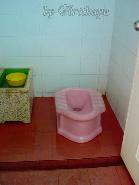 Toilet2.JPG